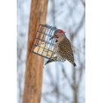 thumbnail image 6 of CountryMax Backyard Seeds Suet Cakes for Wild Birds - No Melt Food for Woodpeckers, Cardinals, Chickadees, Goldfinches, Juncos 11.25 Ounces (Variety Pack), 6 of 6