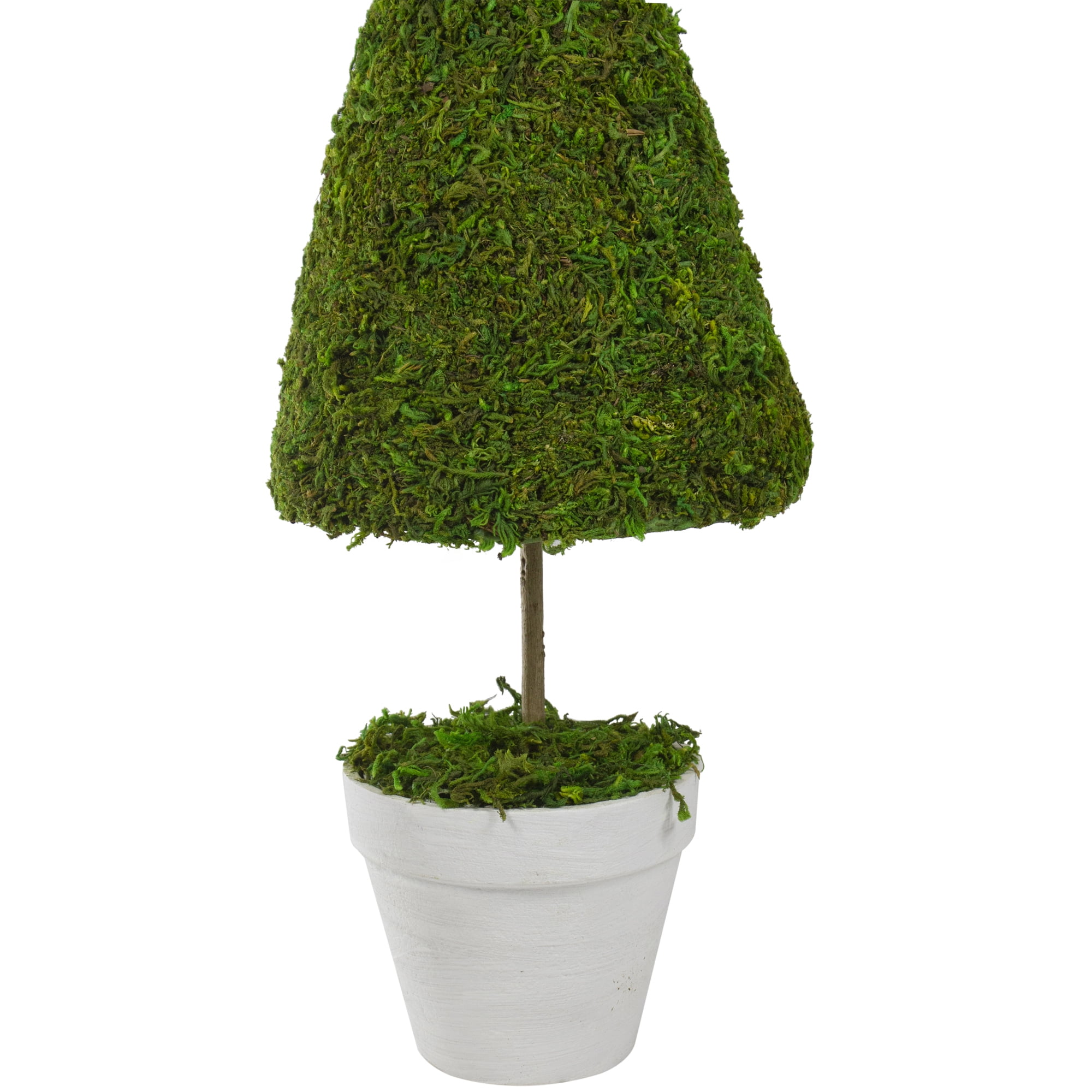20.5" Green Reindeer Moss Potted Artificial Spring Floral Topiary Tree