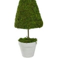 thumbnail image 3 of 20.5" Green Reindeer Moss Potted Artificial Spring Floral Topiary Tree, 3 of 4