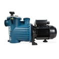 thumbnail image 2 of Bomba para alberca Pedrollo 1.5 HP 220V, 2 of 4