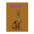 thumbnail image 2 of Scooby Doo Dog Flannel Blanket Cozy Ultra-Soft Micro Throw Blanket For Bed Sofa Couch Car Office Camping Travel All Season Fleece Blanket 60"x50", 2 of 8