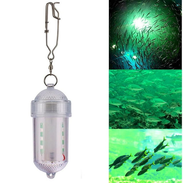 Luz de Pesca Tipo de Buscador de Lámpara Señuelo Lámpara de Cebo Pesca perfecl Verde