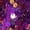 Purple, variant on Miluxas Girls 2 Piece Dance Outfit Set Sequin Metallic Crop Top with Skirts Jazz Latin Ballroom Performance Dancewear Yellow 160(160)