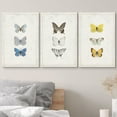 thumbnail image 3 of wall26 Canvas Print Wall Art Set Blue, Black &amp; Yellow Butterfly Collection Insects Wilderness Watercolor Realism Rustic Colorful Multicolor Ultra for Living Room, Bedroom, Office - 16"x24&qu, 3 of 5