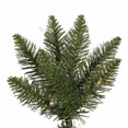 thumbnail image 3 of Vickerman 5.5' Durham Pole Pine Artificial Christmas Tree, Clear Dura-lit Lights, 3 of 7