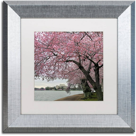Trademark Fine Art "Tidal Basin Blossoms" Canvas Art by CATeyes, White Matte, Silver Frame
