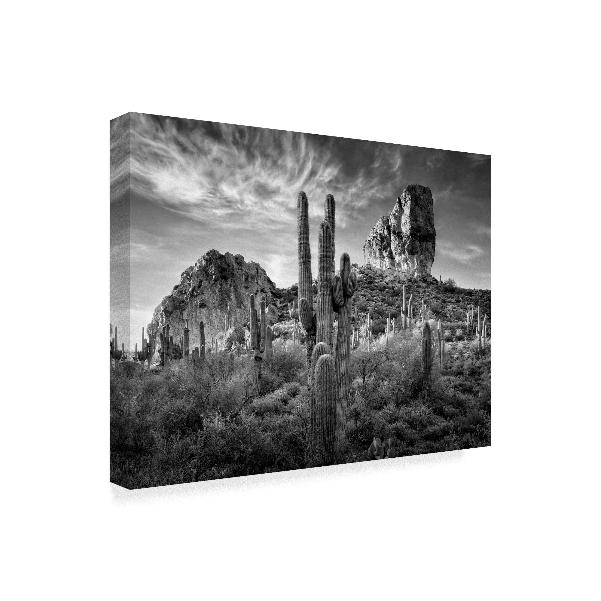 Trademark Fine Art David Drost Black And White Desert View I Canvas Wall Art - 18x24
