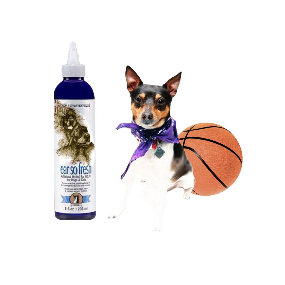 1 All Systems Ear So Fresh . AllNatural Herbal Ear Wash For Dogs