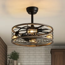 HOOMEDELIER 20" Farmhouse Ceiling Fan with Light and Remote Control Black Caged Chandelier Fan