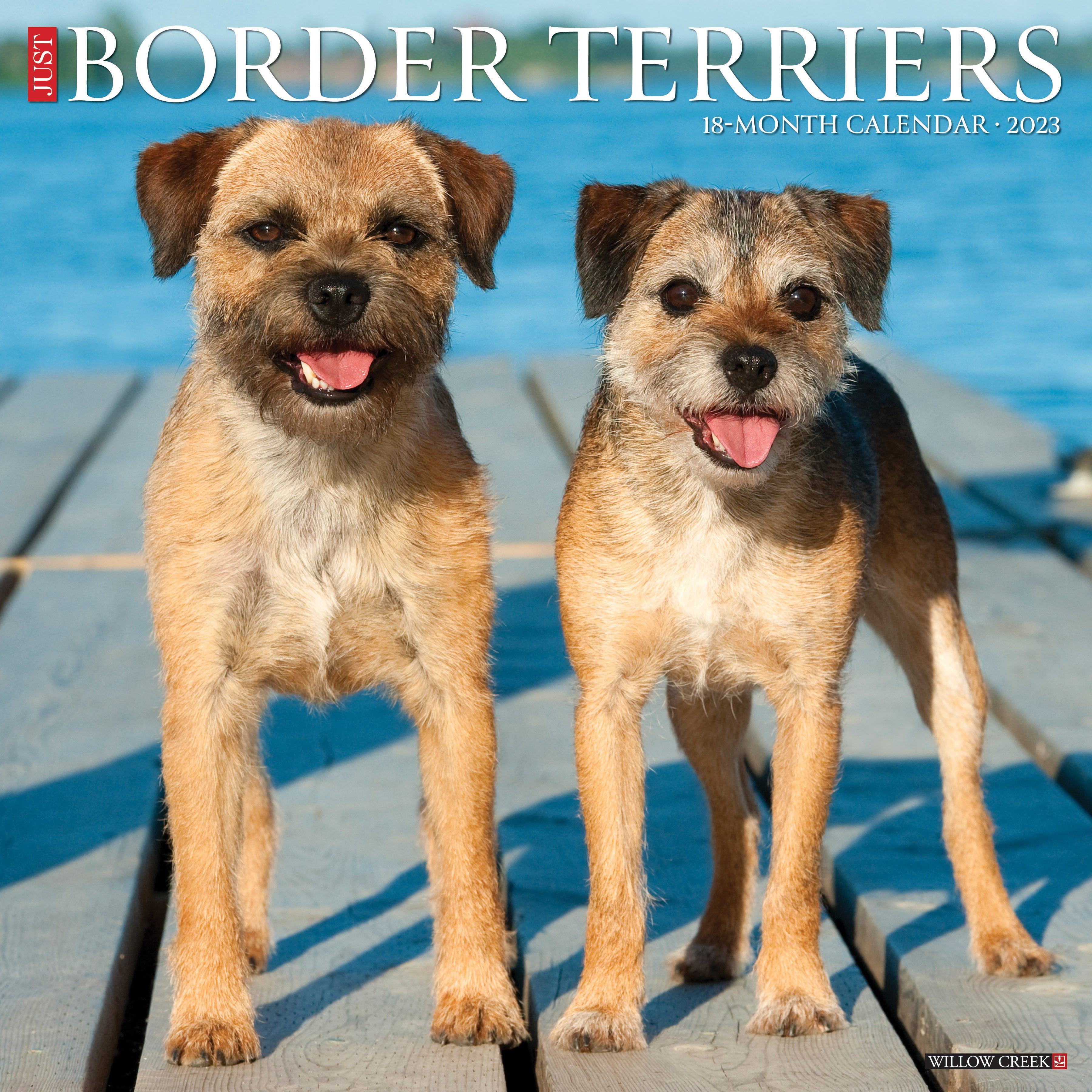 Just Border Terriers 2023 Wall Calendar