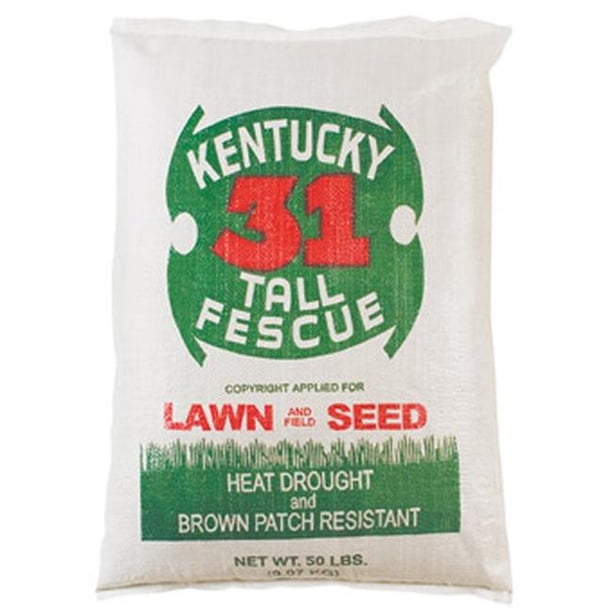 Country Boy Seed 25KY 25 lbs Ky 31 Tall Fescue Grass Seed Pack of 25