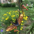 thumbnail image 6 of Giyblacko Hummingbird Feeders Butterfly Banana Butterfly Feeder Coppervine Banana Holder Butterfly Magnet Garden Feeder Garden Feeder Hanging Feeding Rack, 6 of 9