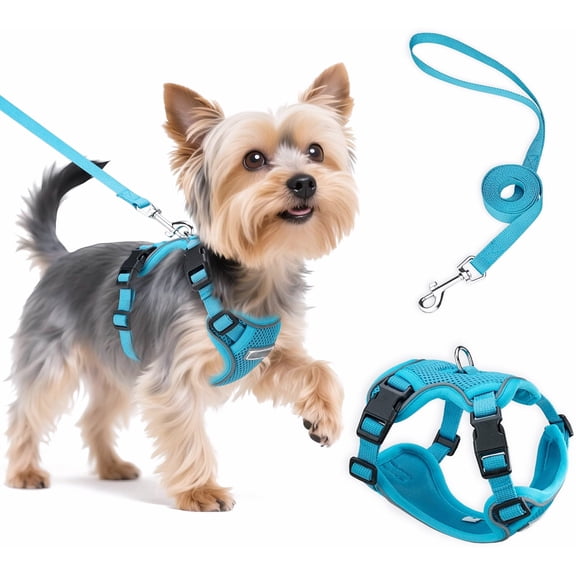 Adjustable Small Dog Harness with Leash Turquoise XS Breathable and Safe