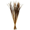 thumbnail image 1 of Vickerman H2SPG725-2 28-36 in. Aspen Gold Splinter Grass with 11 oz Bundle, 1 of 1