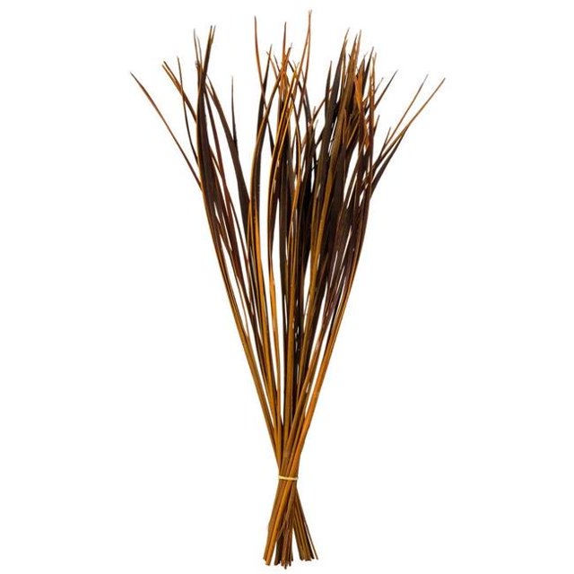 Vickerman H2SPG725-2 28-36 in. Aspen Gold Splinter Grass with 11 oz Bundle