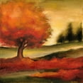 thumbnail image 2 of Harper, Ethan 12x12 White Modern Wood Framed Museum Art Print Titled - Harvest Maple II, 2 of 4