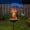 A, variant on KOYPTL Solar Bird Feeder with LED Lights,Iron Frog with Umbrella for Garden Decor,Hummingbird Feeder Pathways Plug Lights for Outside Yard Decorations Outdoor Patio Lawn Flower Ornaments (Tortoise)
