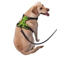 thumbnail image 2 of Fotbe Frogs Arnés para Perro con Estampado –Chaleco Ajustable Acolchado con Asa de Control para Perros Grandes-X-Large, 2 of 6
