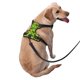 thumbnail image 2 of Balery Frogs Arnés para Perros Grandes Antitirones, Arnés con Correa para Gato, Arnés Tipo Chaleco para Perros Pequeños-Medium, 2 of 6