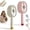 2PCS-A, variant on Electric Steam Brush,Hair Brush with Water Spray Easy to Clean, Red Light Air Cushion Mister for Both Long/Short Hairs Home Spa Cleaning Grooming Styling Detangling