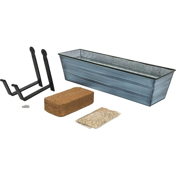 Bloom Box Garden Growing Kit Small Blue with Wall Brackets