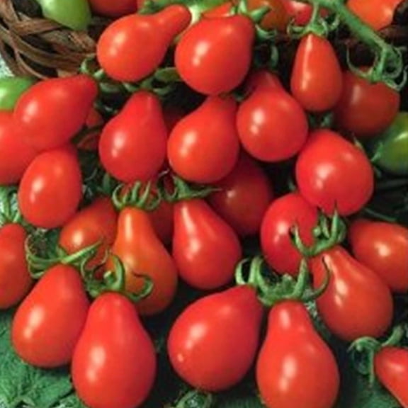 Tomato Garden Seeds - Red Pear - 1 Oz - Non-GMO, Heirloom, Vegetable Gardening Seed
