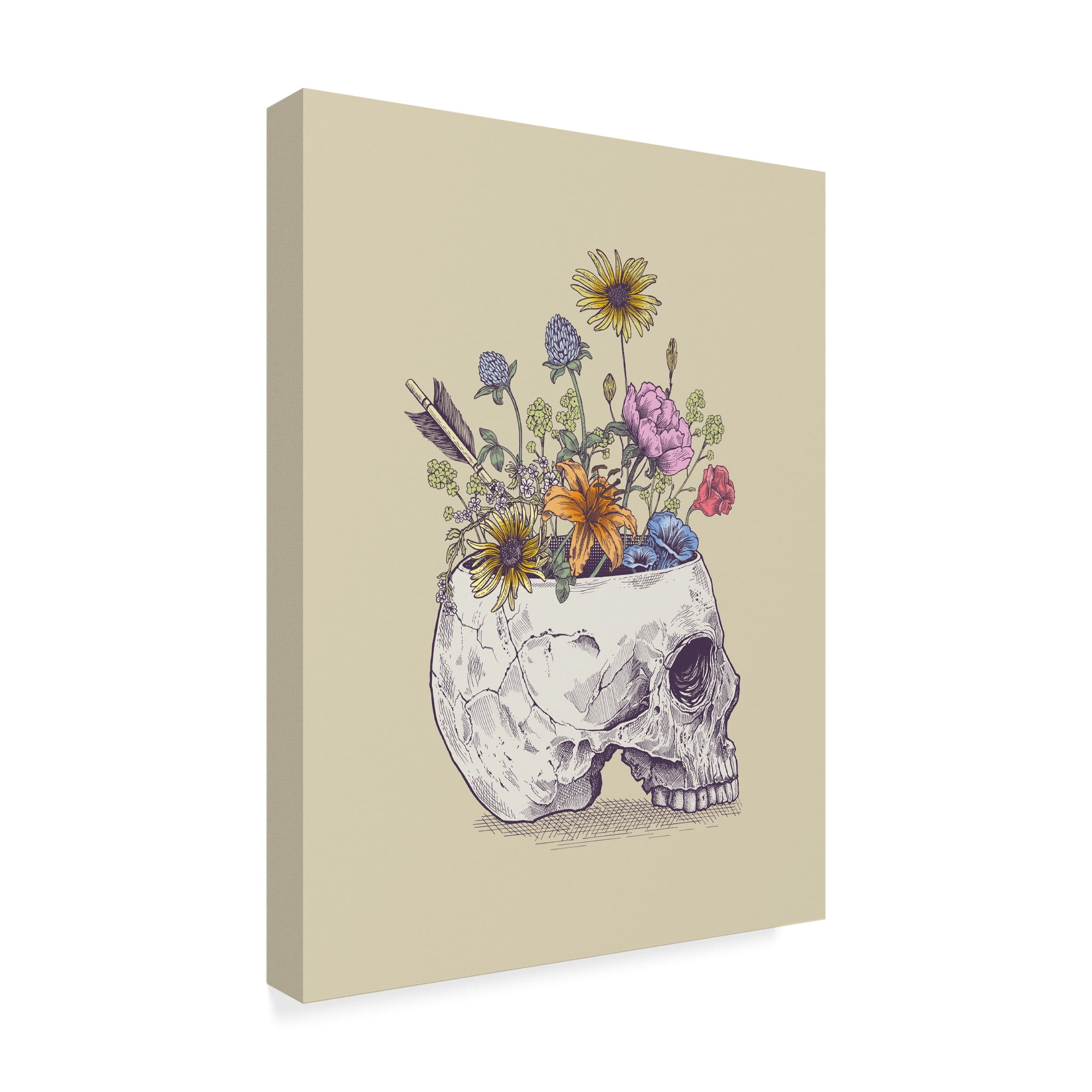 Trademark Fine Art 'Half Skull Flowers' Canvas Art by Rachel Caldwell