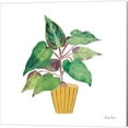 thumbnail image 2 of Great Art Now Potted Jewels by Farida Zaman 2 Piece Canvas Art Set Each 14"W x 14"H, 2 of 3