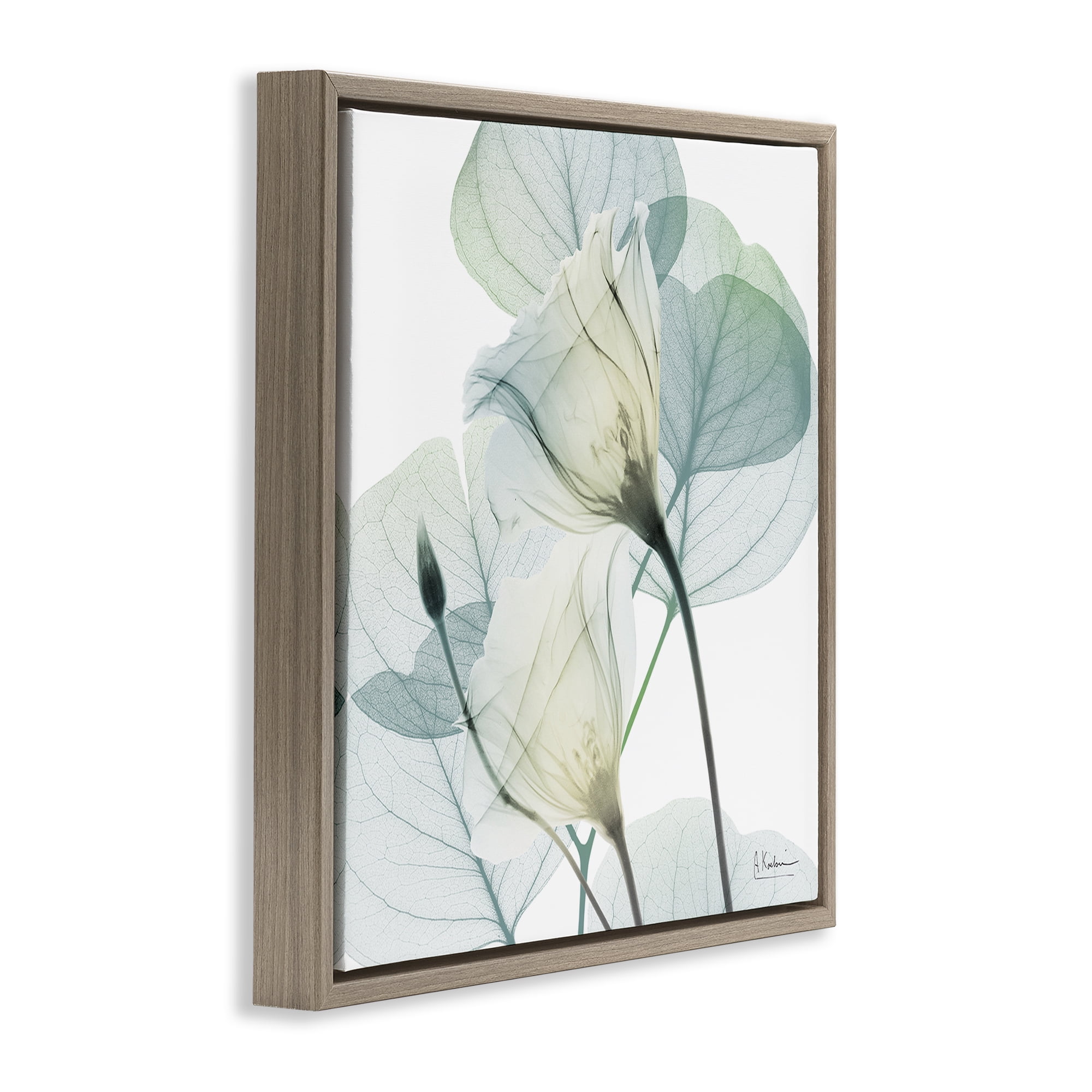 Stupell Industries Divine Fate Petals Brown Framed Floater Canvas Wall Art, design by Albert Koetsier