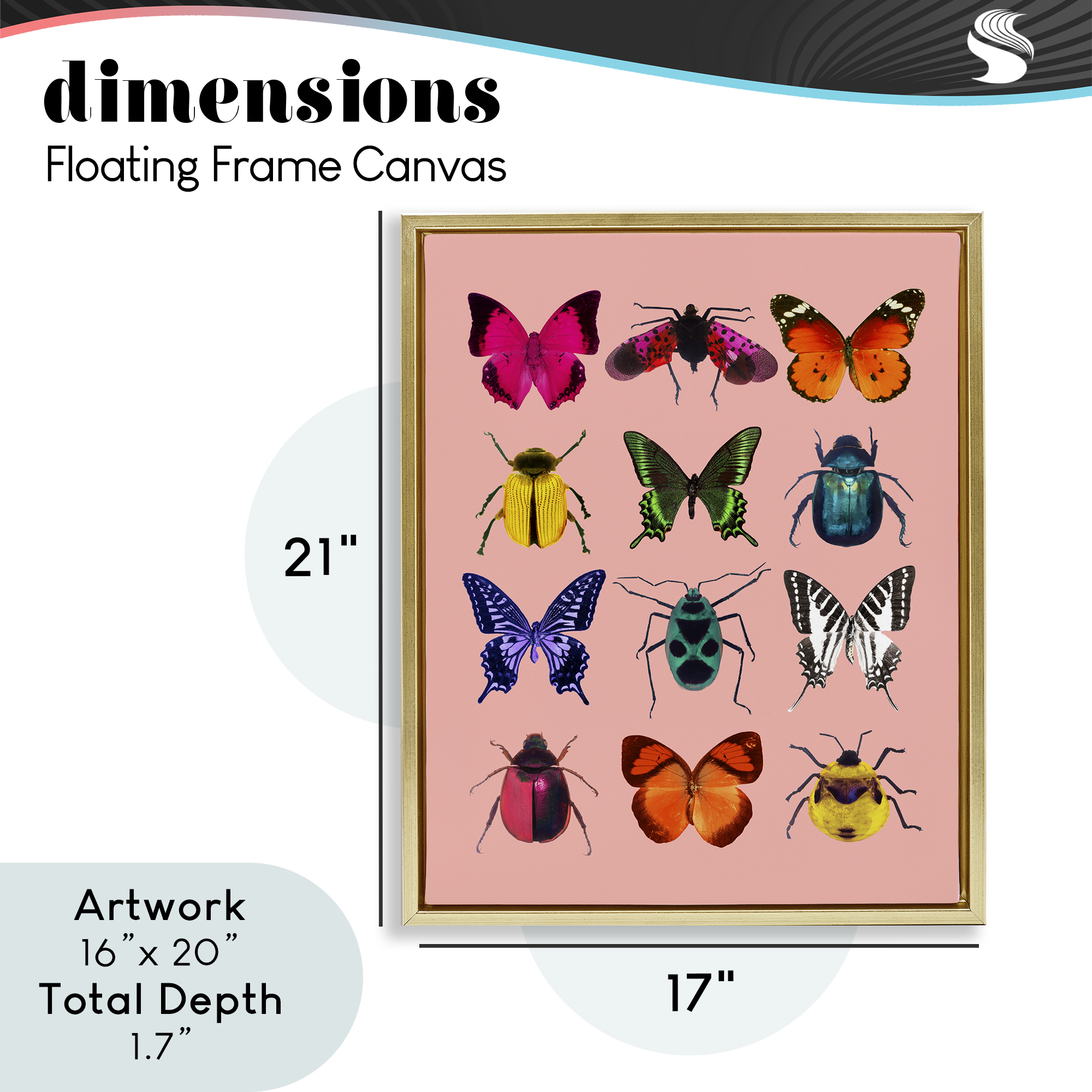 Colorful Bug Species on Pink Gold Framed Floater Canvas Wall Art, design by LISH Creative