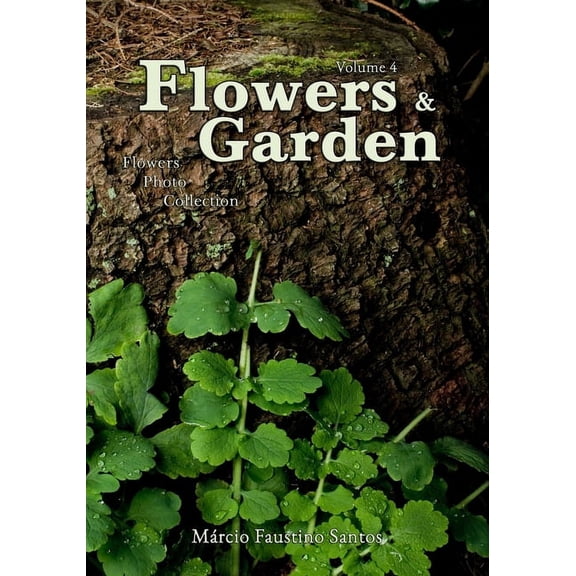 Flowers & Garden: Flowers and Garden: Flowers Photo Collection - Vol. 4 (Paperback)