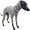 Grey, variant on UOSIA Italian Greyhound Sweater Elastic Comfortable Cold Weather Dog Coat Whippet Pajamas Jumpsuit