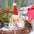 thumbnail image 4 of unbranded 2Ud Gorro De Para Perros Hamsters Y Otros Pequeños Animales, 4 of 8