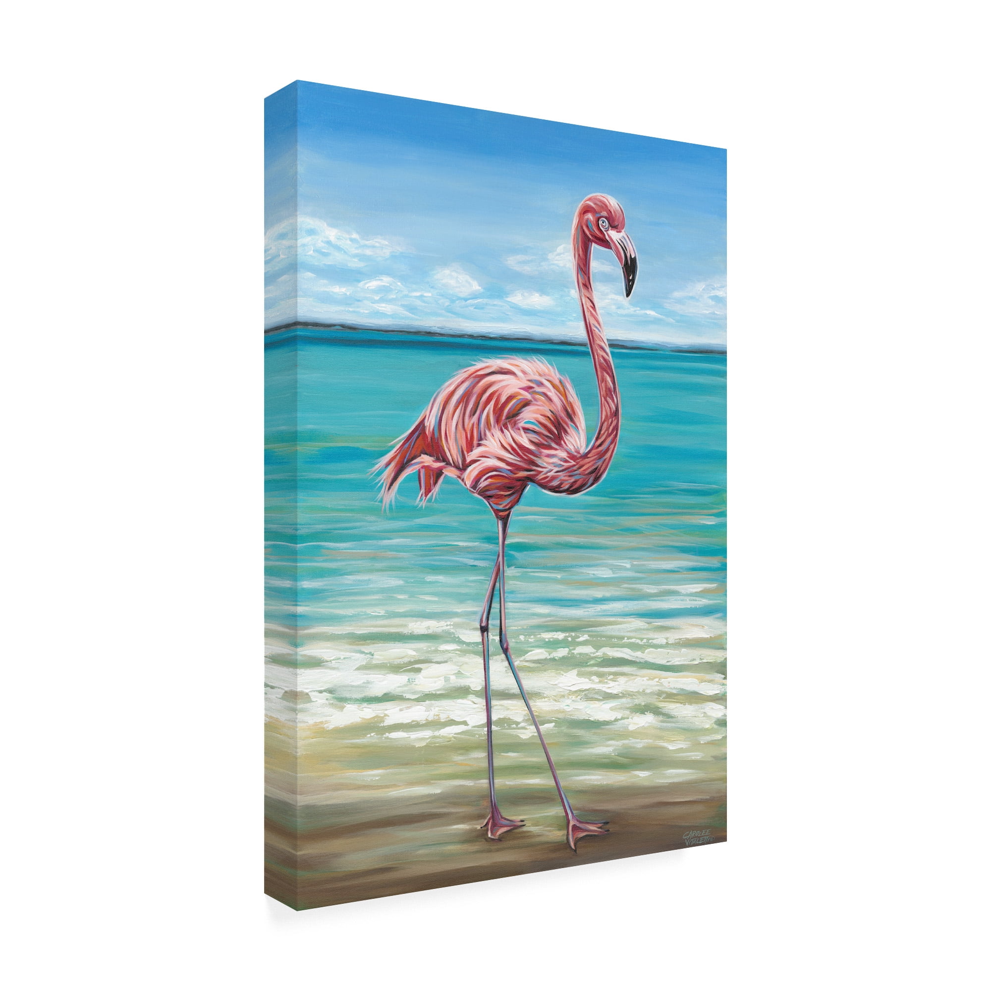 Trademark Fine Art 'Beach Walker Flamingo I' Canvas Art by Carolee Vitaletti