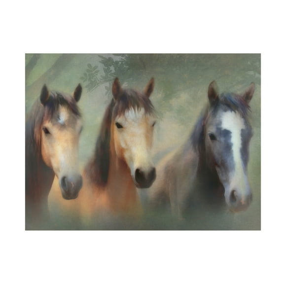 Canvas Wall Art - Trudi Simmonds 'Three Of Hearts ...Connemara Ponies' Wall Art for Living Room, Bedroom, or Office Décor by Trademark Fine Art - 19 x 14 Inches