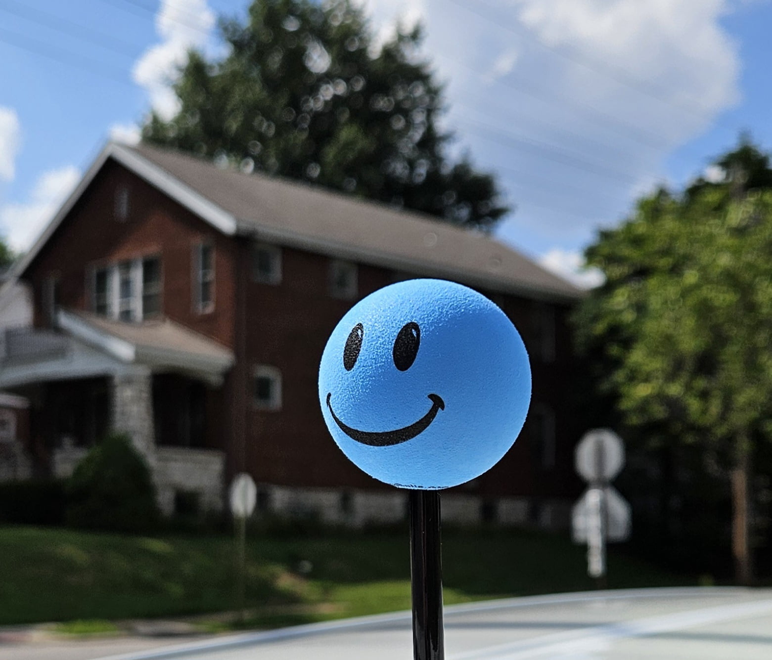 Tenna Tops Blue Smiley Happy Face Car, Truck, SUV Antenna Ball