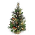 thumbnail image 1 of Mistaha 24-Inch Mini Christmas Tree with Frosted Pine Needles/PVC Mix, Warm White LED Lights, Red Berry Pinecone Decor, Pine Needle Powder, Burlap Base - Festive Xmas Ornament, 1 of 6