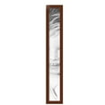 thumbnail image 2 of ArtToFrames 5" x 39" Walnut Picture Frame, 5x39 inch Brown MDF Poster Frame (WOM-4086), 5 Pack, 2 of 8