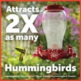 thumbnail image 3 of Pennington Large Plastic Red Hummingbird Bird Feeder, 64 oz. Capacity, 3 of 13