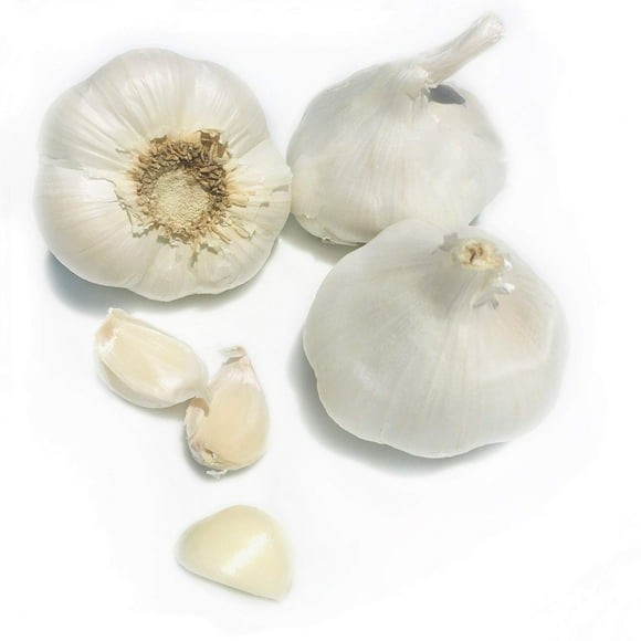 Kejora Fresh Garlic Bulbs - Qty : 5 Bulbs