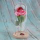 thumbnail image 2 of Luz de cristal decorativa Baoblaze blanca cálida para exhibición Oficina en casa decorativa, 2 of 8