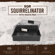 Rugged Ranch Squirrelinator مع مصيدة سنجاب خارجية متعددة الصيد Drop Basin