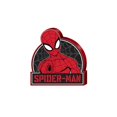 thumbnail image 1 of Placa de pared plateada con diseño de búfalo Spider Man, tamaño web, MDF, 1 of 3