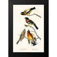 thumbnail image 2 of Audubon, John James 13x18 Black Modern Framed Museum Art Print Titled - Evening Grosbeak and Spotted Grosbeak, 2 of 5