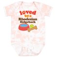thumbnail image 3 of Inktastic Rhodesian Ridgeback Loved by a (dog Breed) Boys or Girls Baby Bodysuit, 3 of 5