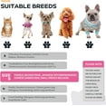 thumbnail image 3 of Dog Boots Paw Protector, Anti-Slip Winter Dog Shoes with Reflective Straps for Small Medium Dogs Size 5 4PCS, 3 of 12