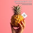 thumbnail image 3 of OULII Science Physics Circuit Experiment Kit 1Set Fruit Battery For Enthusiasts Students Classroom Activities, 3 of 7