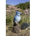thumbnail image 5 of BLUE JAY Chantant Activé par Mouvement Debout sur Souche, 5 of 5