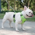 thumbnail image 2 of Dog Harness, No Pull No-Choke Pet Vest Harness with Handle Control, Soft Padded Breathable, Easy Adjustable for Walking Climbing Training A81, 2 of 2