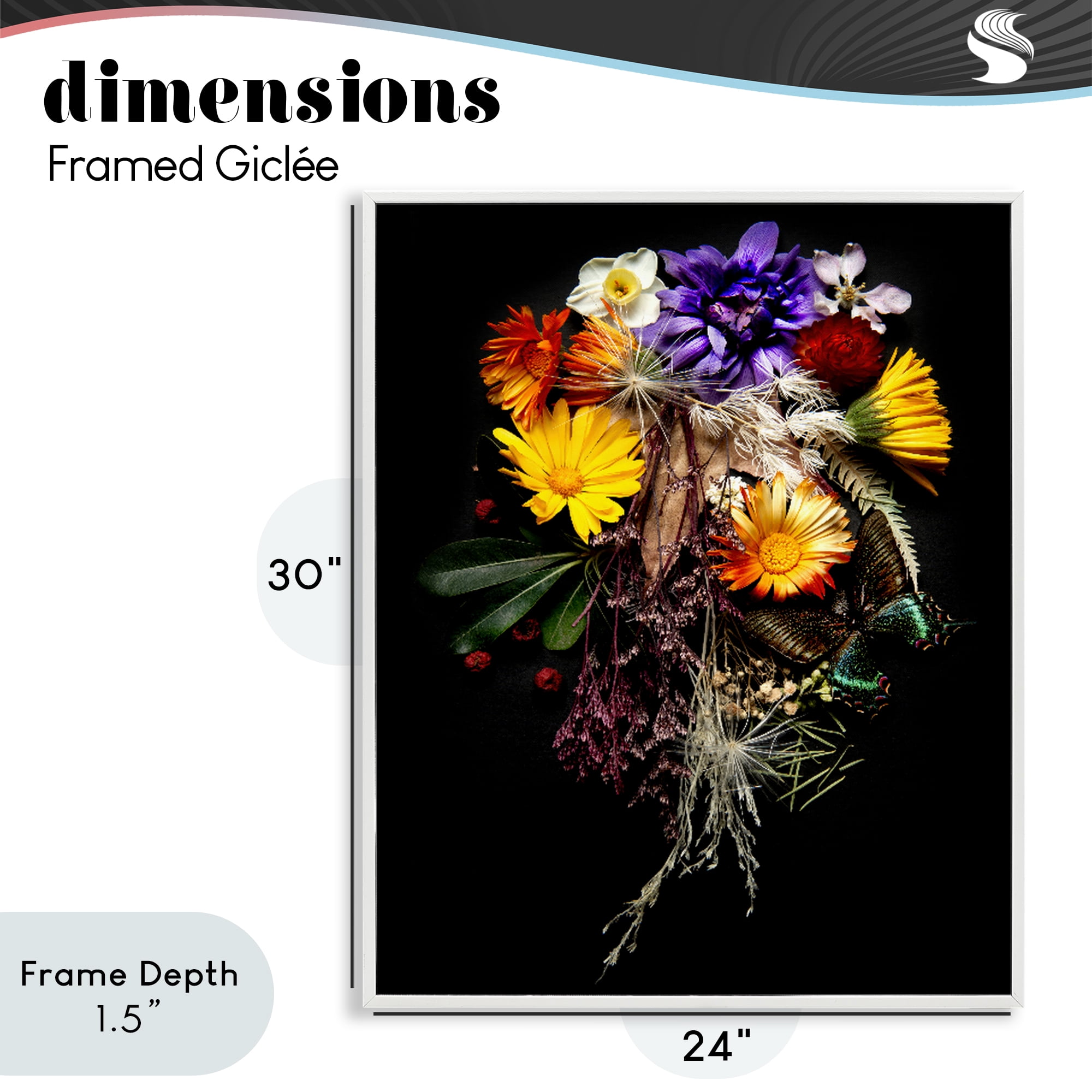 Stupell Industries Butterfly Adorned Arrangement White Framed Giclee Art, design by Carl Kravats